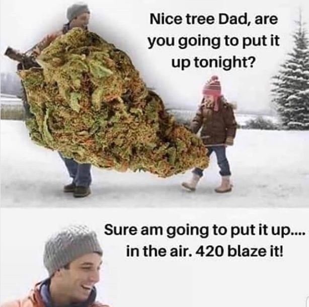 dan_chronicles's tweet photo. My kind of Christmas tree!!
#DontLoseYouTreeToAFire #JustKidding #LightThatShitUp #MerryChristmas #Dans420Chronicles https://t.co/qqs3jaLXpB