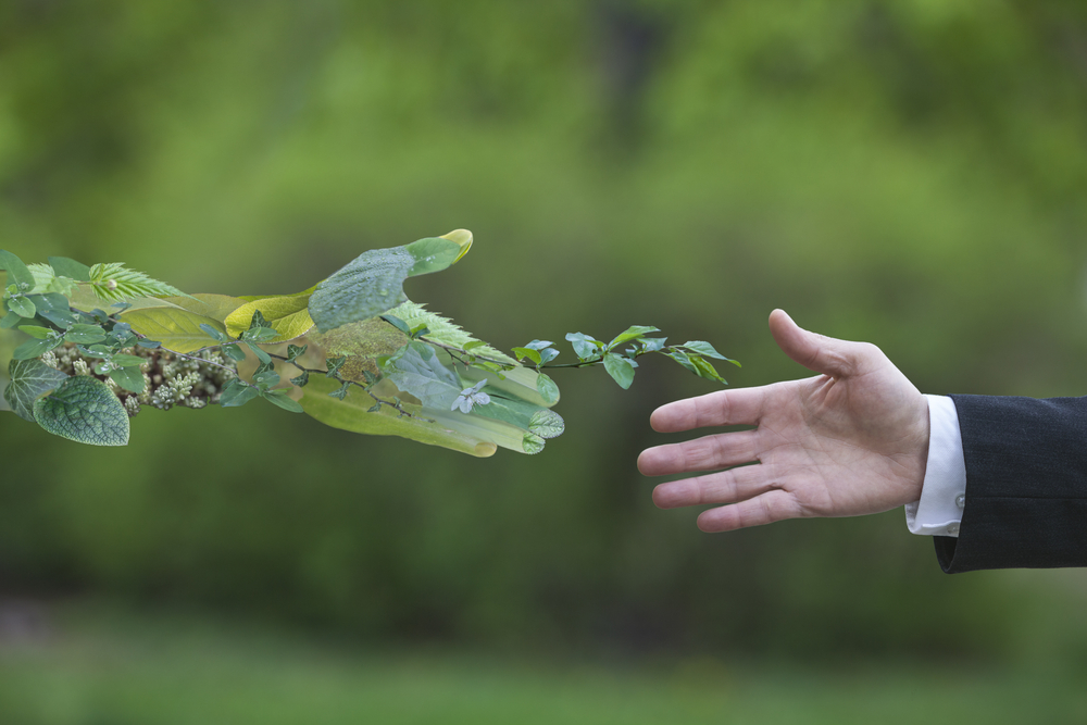 Cabinet_Carexco's tweet photo. Les jeunes diplômés français sont bien décidés à ne pas aller travailler dans des entreprises en désaccord avec leurs convictions écologiques ♻️🌱#RSE https://t.co/PFjroOOVSP https://t.co/8lKTtnQgzH