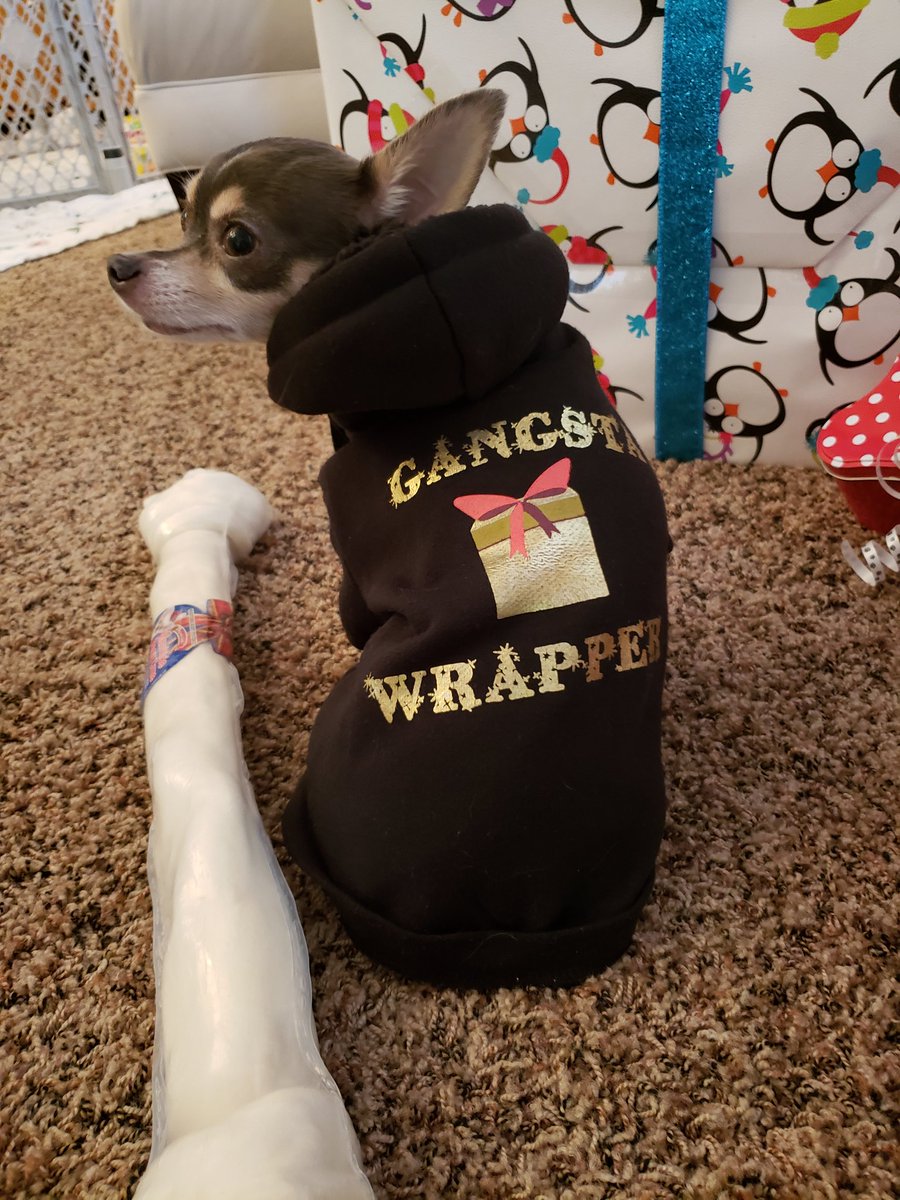 roscoe_blaze's tweet photo. Christmas Eve EVE. #MondayMadness wrapping presents with the help of #GangstaWrapper Roscoe. https://t.co/zFK607ZynG.ready. ๐ค๐ณ๐ https://t.co/R2YF5aT2hg
