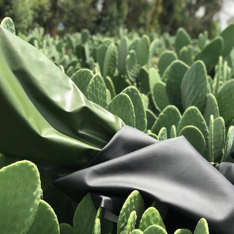 Dos jóvenes inventan la piel ecológica de nopal, lo cual es toda una revolución en la industria textil mexicana. buff.ly/2EIVxMX