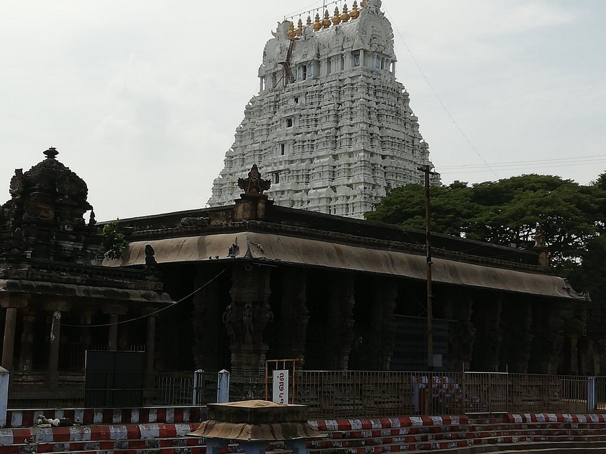 vmmadhav's tweet photo. இன்று திருக்கச்சி ஸ்ரீ பேரருளான் ஸ்ரீ பெருந்தேவித் தாயார் சேவை கிடைத்தது. உங்களையும் தேடி வருகிறான் ஸ்ரீ பெருந்தேவித்தாயாருடன் #கோபுரதரிசனம் #காஞ்சி #Kanchipuram #DevaperumAl #PerundeviThAyAr https://t.co/urN0PE3ELZ