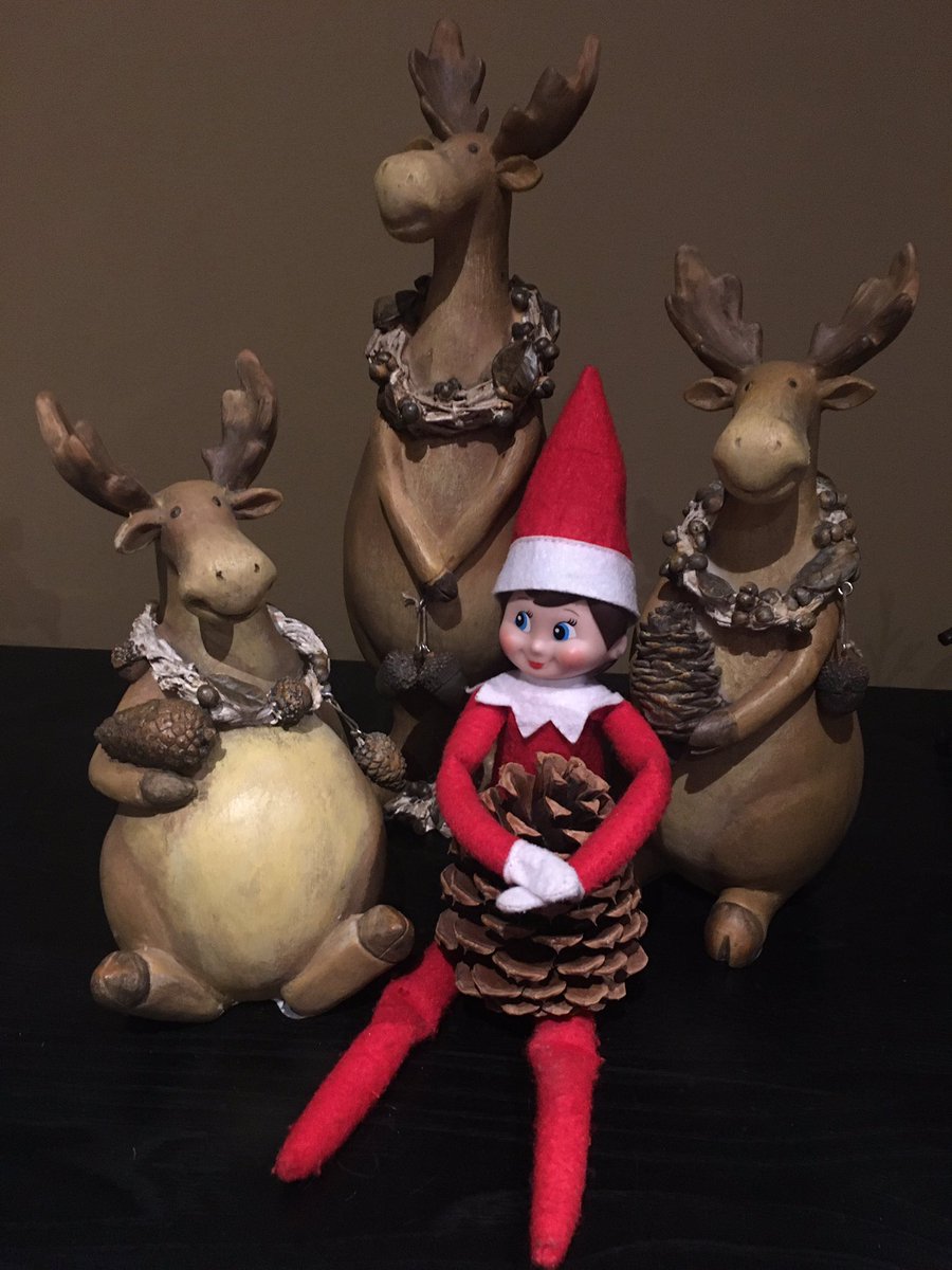 sinbinzebra's tweet photo. It’s the #Moose wonderful time of the year @elfontheshelf #ElfOnTheShelf #EverythingIsPine https://t.co/7VaaULBgys