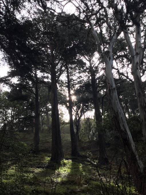 🌈 Yesterday&rsquo;s rainbow. If you only look ahead, you&rsquo;ll never see the #rainbow behind you.  Ran outside<a href="/tag/coffee"class="tags"><span>#coffee</span></a><a href="/tag/yesterday"class="tags"><span>#yesterday</span></a><a href="/tag/rainbow"class="tags"><span>#rainbow</span></a>