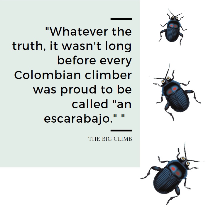 TheBigClimb1's tweet photo. An escarabajo is a species of beetle which is common in Colombia. Did you know that Colombian cyclists are popularly known as escarabajos? Read the interesting and unexpected reason as to why in The Big Climb. https://t.co/8247gkDDED