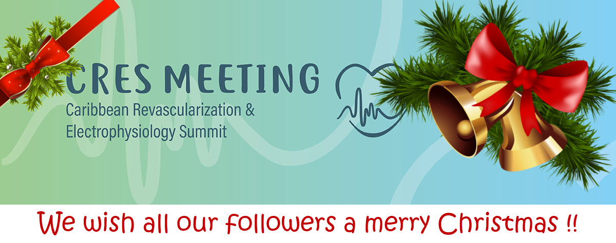 We wish all our followers a merry Christmas !!