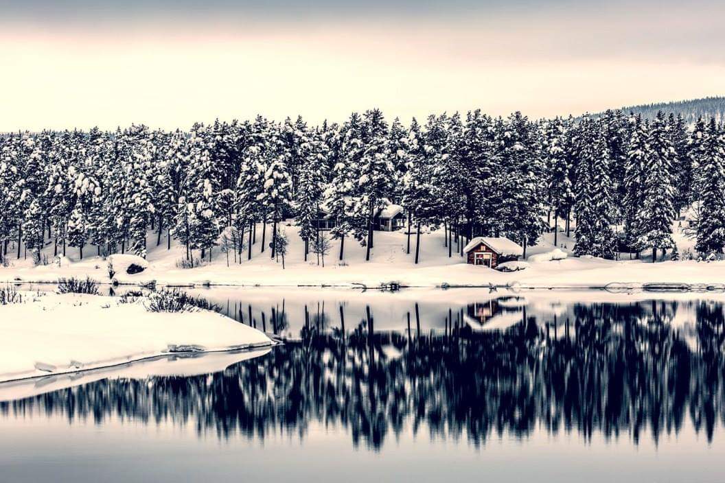 Betongforening's tweet photo. Betongföreningen önskar Dig en riktigt God jul och ett Gott nytt år! https://t.co/JBnhBly3u7