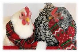 ezchickencoops's tweet photo. It’s Almost Christmas!  Let OverEZ help you with all your Chicken Lovers Gift List. We have Coops, and all the extras to make your Chicken Raising easy! 

#chickencoopsale #thechickencoopcompany #backyardchickencoops #chickenheaters https://t.co/UWlfa5AJT2 https://t.co/4rKmyBj5jP