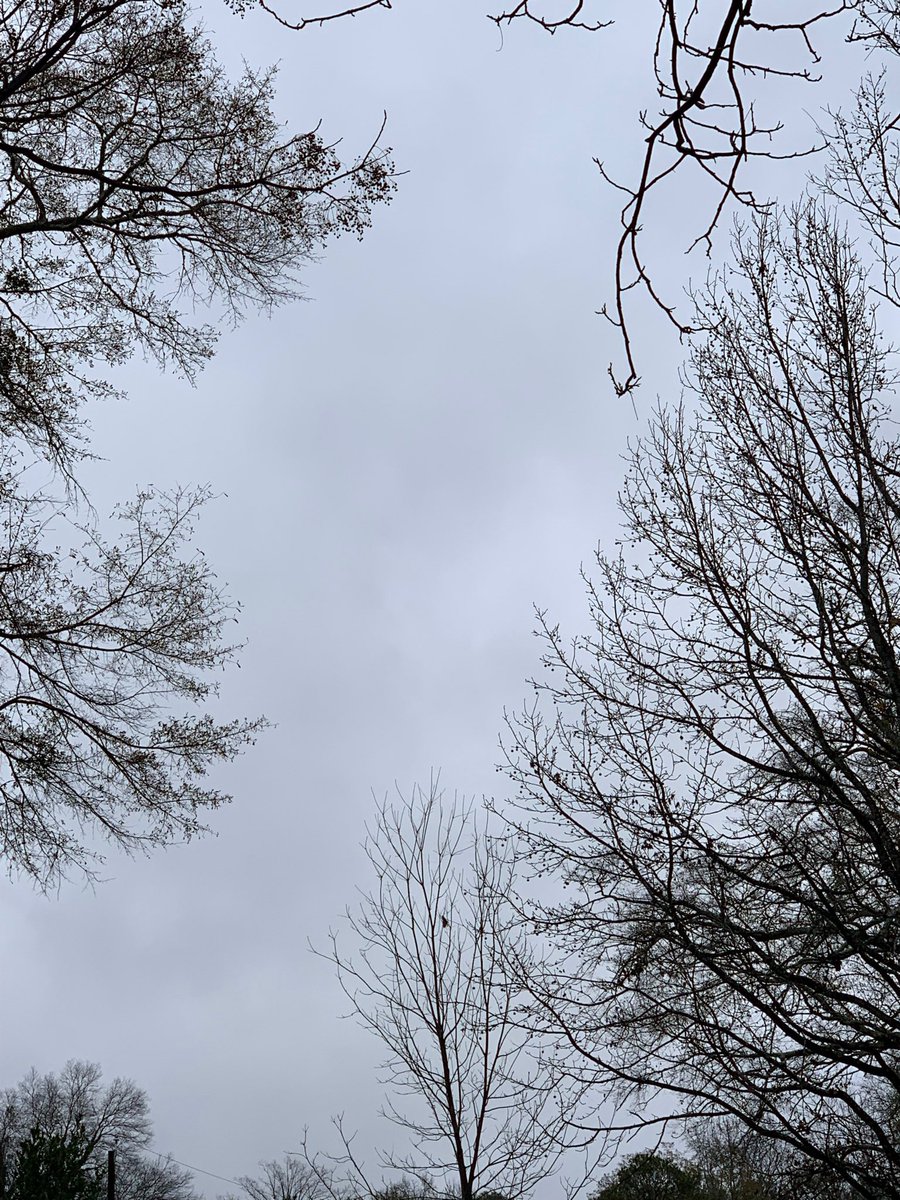sokamoto's tweet photo. Good morning, Columbus! #ColumbusGA #mydailyphoto #12/23/2019 #2019project #completelycloudy #sunstillhiding #warmer #stilldamp #groundverywet #tinybreeze #lonebirdchirping #neighborsdogsquiet https://t.co/MoYP1COyXl