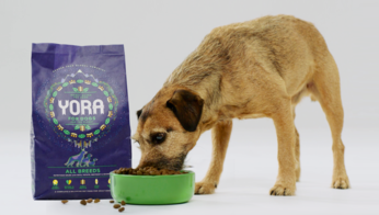 CraftoryBrands's tweet photo. We're buzzing 🐝 for #ChallengerBrand @Yora_Pet who have created the world’s most sustainable pet food from insect larvae!

We’ve caught the love bug 😍🐛 https://t.co/eike4xTxdc