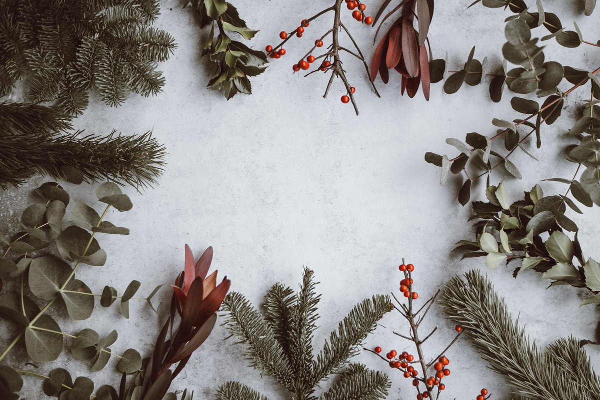 MurrayDevine's tweet photo. Happy Holidays from your friends at Murray Devine Valuation Advisors!! https://t.co/VSNTwHZjch