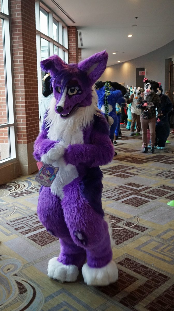 StirlingCorgi's tweet photo. A cute collie sweetie i ran into at Anthro South East. #anthrosoutheast #fursuit https://t.co/BYEjQaZB0C