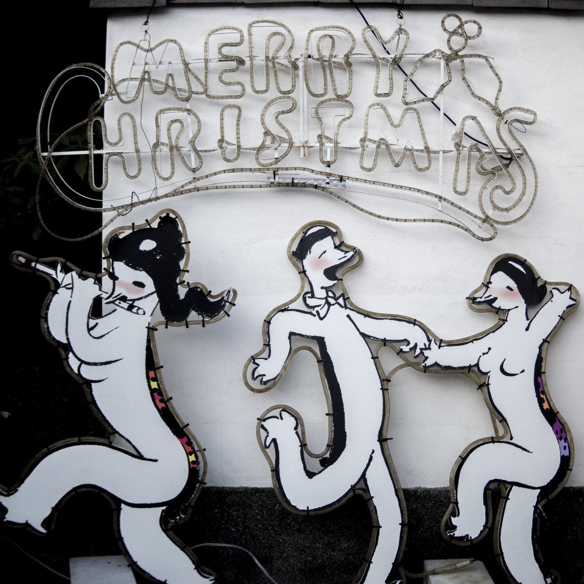 TARO-Y (@kooth) on Twitter photo 