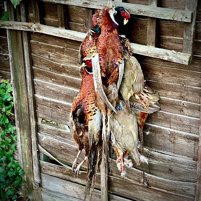 The pheasant fairy popped by while we were out. Thank you very much. 
#meatsmokefire #game