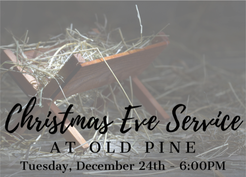 oldpinechurch's tweet photo. Old Pine's tradition of Christmas Eve worship with live nativity and candlelight continues this year at 6pm. We will have a special 15 min organ prelude of your favorite carols starting at 5:45pm. All are welcome and invited, including pets, to take part in this special service! https://t.co/u4pRkpIbsi