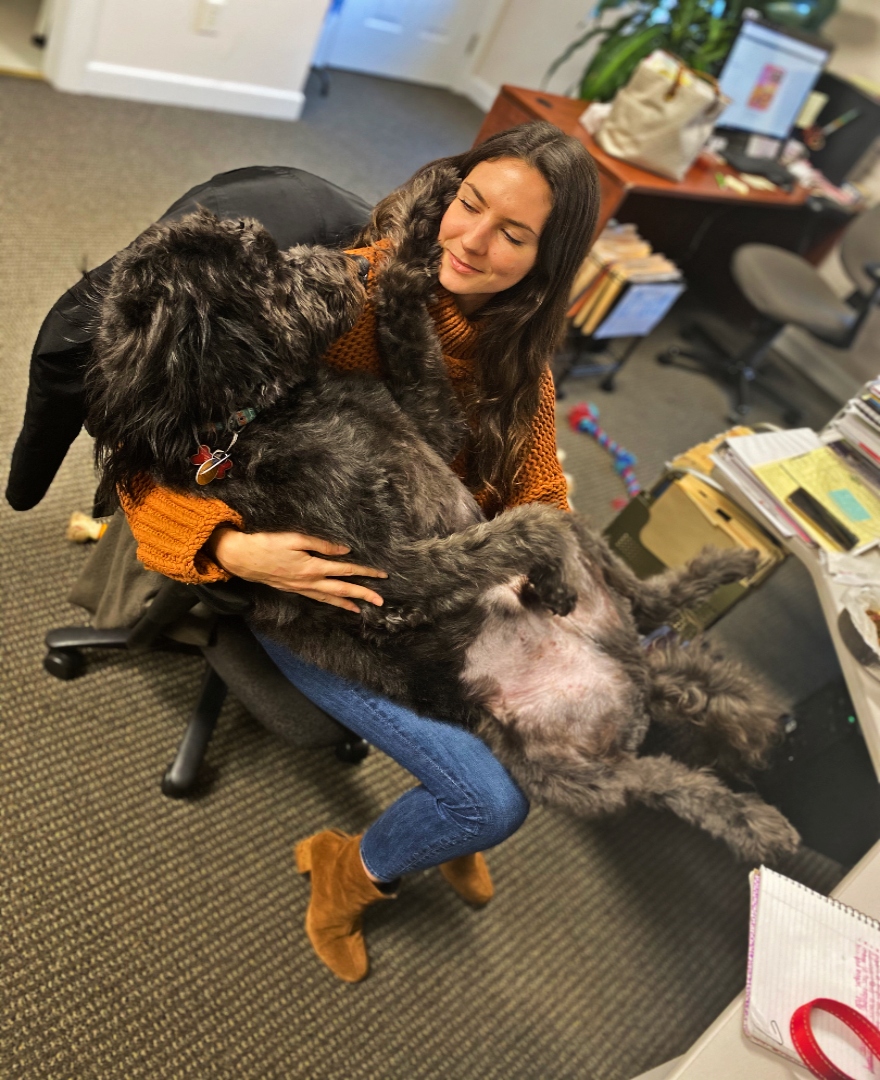 Yay_Local's tweet photo. Barry hard at work (distracting us from our jobs) he's too stinkin excited for Santa Paws to come and have his mama home for a couple days to get work done! Who else is ready for a lil break????

#cuddles #purelove #doglife #officepup #ourfavdays #barryman #yaylocal #raleigh https://t.co/je2I9LEi0Z