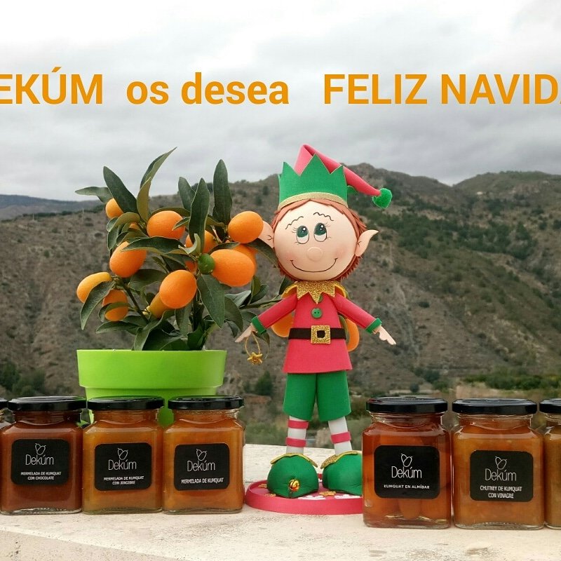 DeKumQuat's tweet photo. NAVIDAD, días de compartir con los seres queridos y que te hacen sentir especial. Un año más agradecer a nuestros amigos por estar con nosotros os deseamos de todo corazón amor, salud y felicidad.   FELIZ NAVIDAD. #feliznavidad #kumquat https://t.co/WWyVqglnh8