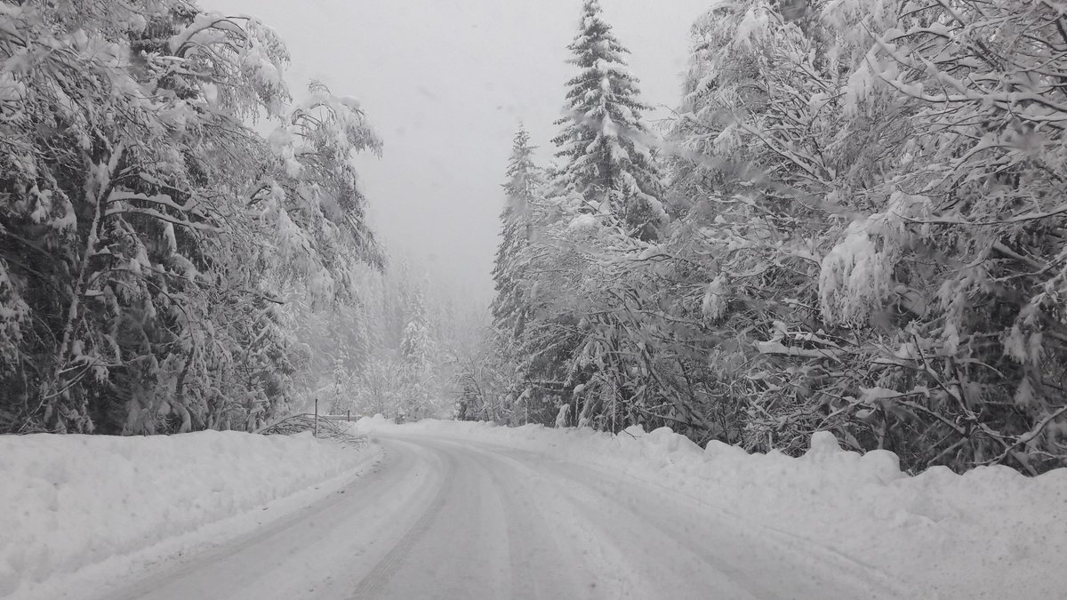 bodygroovedj's tweet photo. From the white road in the middle of the white trees, I wish to all a merry christmas! https://t.co/XdD1lrErOc