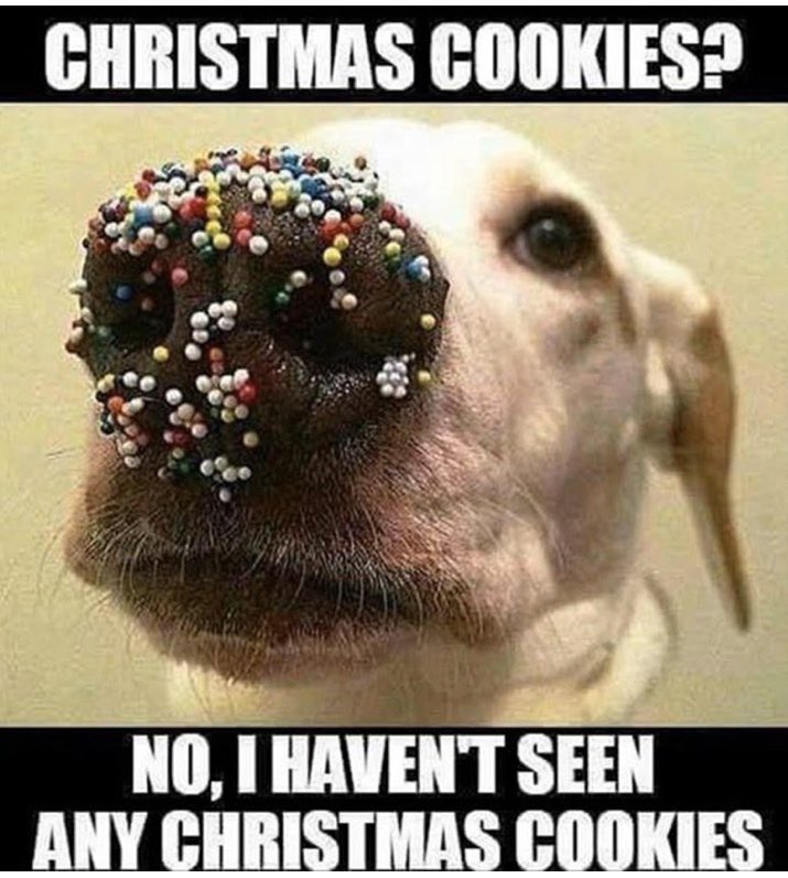 MaxBromista's tweet photo. Click on meme. Funny! https://t.co/2NffiQyONG
