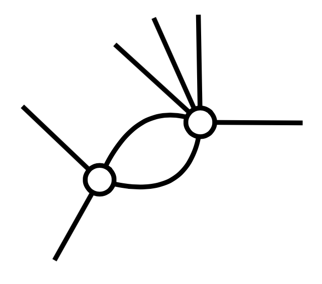 An undirected graph with two vertices and eight edges. It does not look much like a bird.