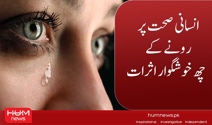 humnewspakistan's tweet photo. انسانی صحت پر رونے کے چھ خوشگوار اثرات
تفصیل پڑھیں: https://t.co/lzvVL70ued
۔۔۔۔۔۔۔۔۔۔۔۔۔۔۔۔۔۔۔۔۔۔۔۔۔۔۔۔۔۔۔۔۔۔۔۔۔۔۔۔۔۔۔
#HumNews #HumHealth #Health #Crying https://t.co/zPZW5DAsbT