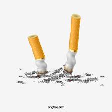 georginafire's tweet photo. #12DaysofHolidaySafety
Day 11 - Encourage smokers to smoke outside.
Encourage smokers to smoke outside and use large, deep ashtrays that can't be knocked over. Make sure cigarette butts are properly extinguished #FireEducatorsYork https://t.co/nQSamVxqWJ