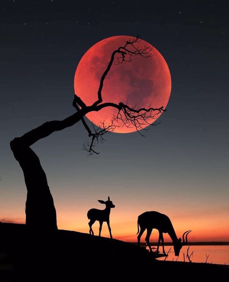 mallak14f's tweet photo. احرص على قربك من الذين يشعرون بك .. يفهمون صمتك .. يحتوون قلبك في لحظات ضعفه .. من يشاركونك كسرتك ليقيمونك من جديد ..
أولئك الذين يُحسنون الظن بك .. الذين لا يتصنعون الحب .. وإذا تغير مزاجهم لا تتغير مشاعرهم تجاهك أبداً https://t.co/AIpdnqKnT3