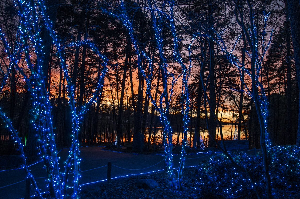GarvanGardens's tweet photo. Only 150 online tickets left for tonight's Holiday Lights! Better buy them now...you must have an online ticket or be a member to come tonight! https://t.co/7vhKwbWNJ2