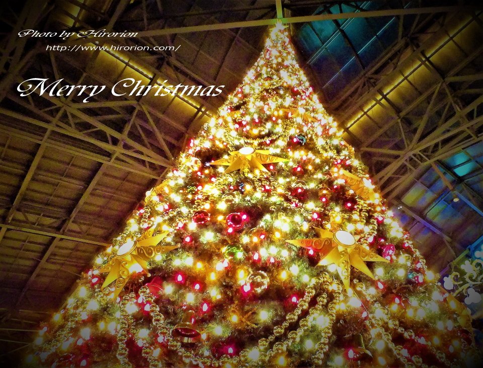 【Merry Christmas】
皆様、ステキなクリスマスを(^^)/

【#TDL にて撮影】撮影 Photo by #hirorion
#葛飾 #かつしか #葛飾区 #亀有
hirorion.com   
facebook.com/hirorion999