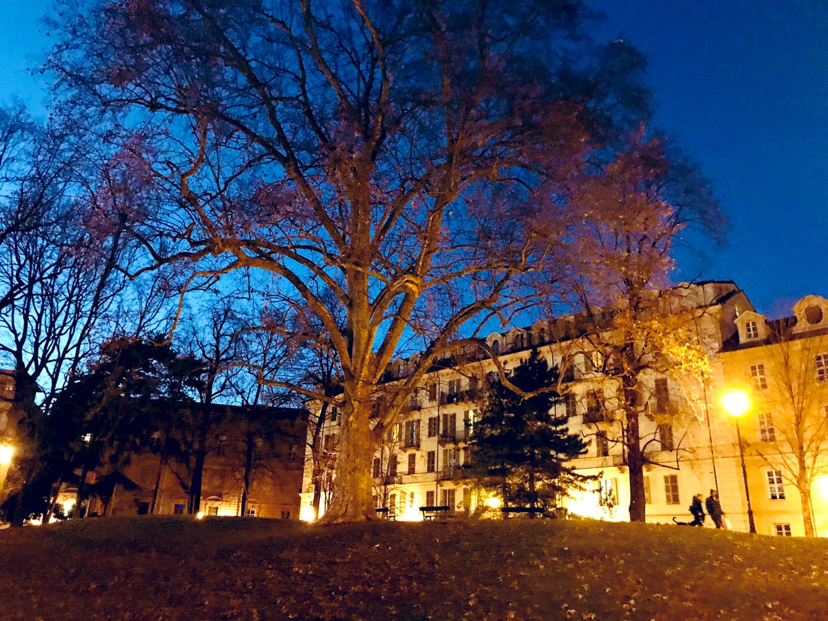 AlessandroForn6's tweet photo. GOOD NIGHT from TORINO #art #arttwit #iloveart #torino #photography #ilovetorino #photo #turin #architecture #baroque #artlover https://t.co/DZtv0Z6aaS