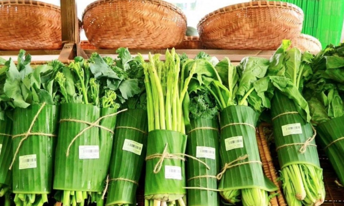 PlasticPollutes's tweet image. 'Vietnam breaks plastic stranglehold in 2019.' Plastic pollution is nothing new in Vietnam, though not until this year have government and businesses alike taken the problem seriously. #plasticpollutes #breakfreefromplastic ow.ly/6aKQ30q48Wt