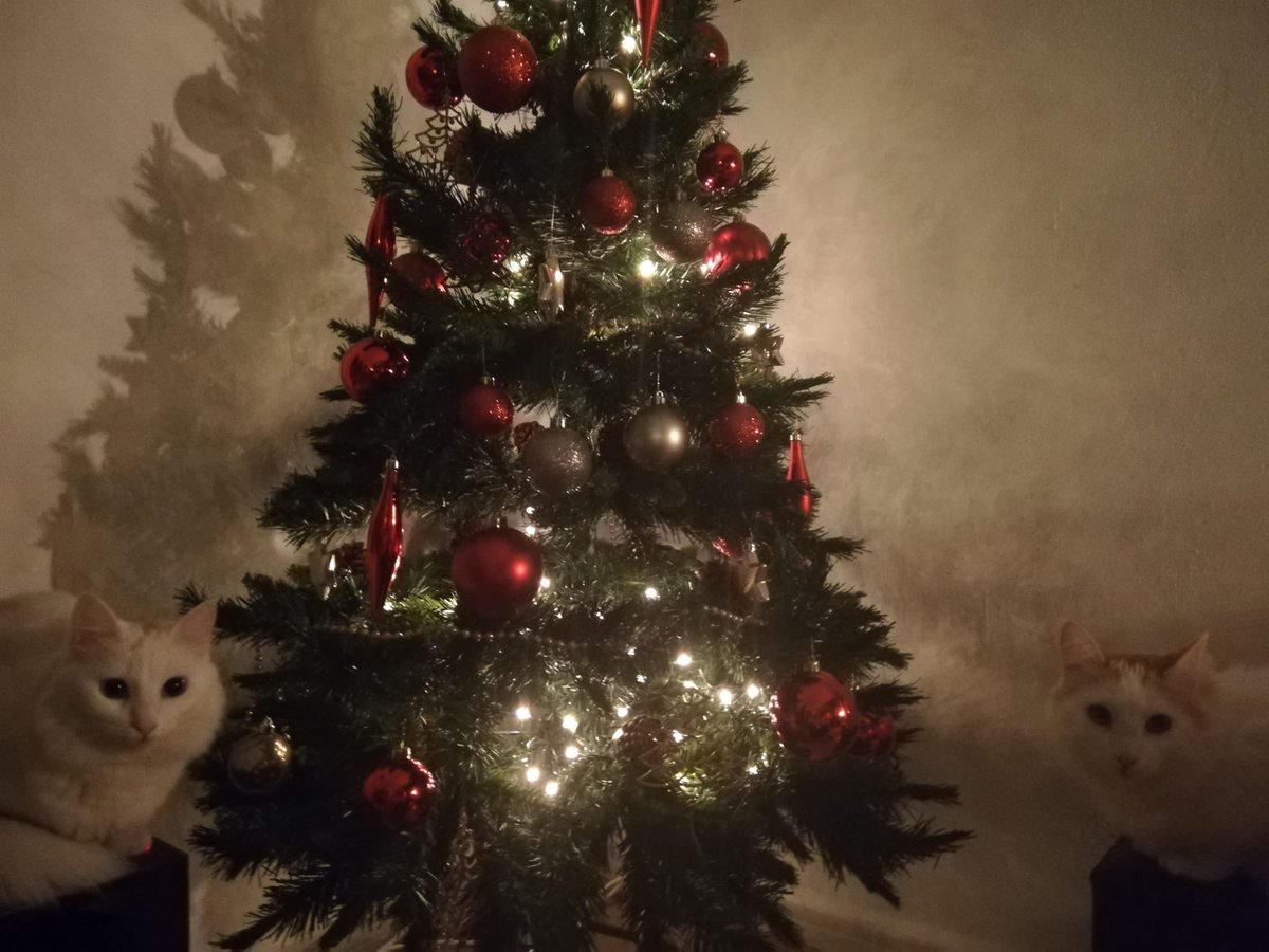 José J. (Pepe) 👨🏻💻🔬🏍 🏍️ 🚲 🚲 🛹 tweet media