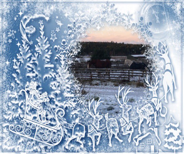 blackislestud's tweet photo. Merry Christmas from all of us at Black Isle stud.  Xx https://t.co/jOYjGRUtcm