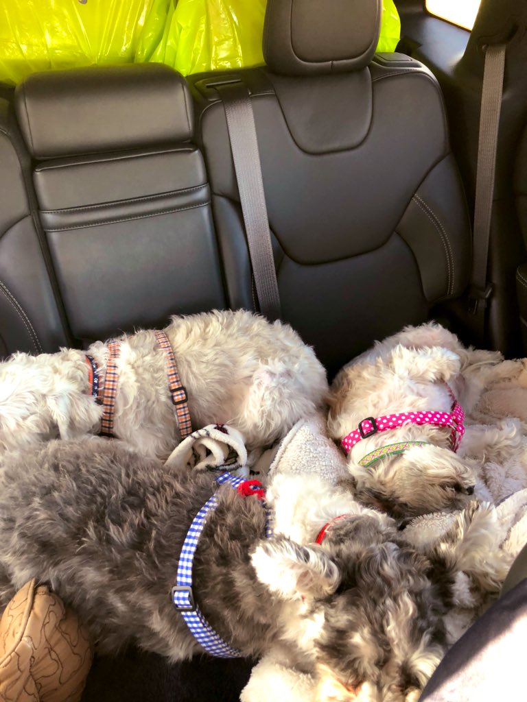 KrayZDayZ's tweet photo. You must be real comfortable @KellyCalderone #onyourback https://t.co/HOoqASFI5D https://t.co/4yYWkG9ZQt