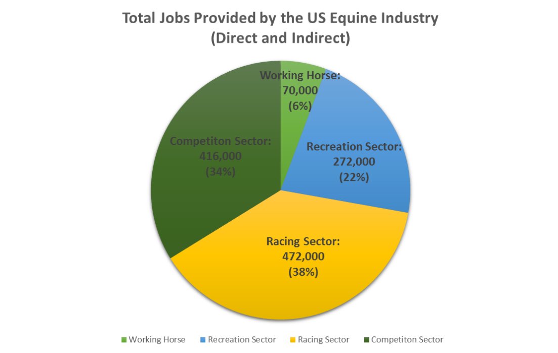 RealityRacing55's tweet photo. Horse racing is a vital component to the economic well being for communities across the country. In 2017, the U.S. horse industry had an economic impact of around $120 billion, providing full time jobs for roughly 1.74 million people. Check out this data from @equinebiz https://t.co/Au1tExvqdc