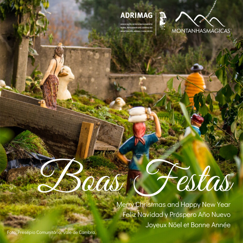 MontMagicas's tweet photo. 🎄 BOAS FESTAS - https://t.co/lrKgShgulL https://t.co/qoXp9yUTci