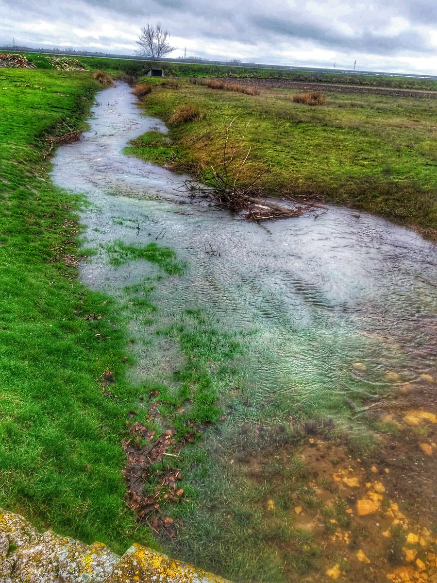 flormasom's tweet photo. El río de #Perosillo #Segovia https://t.co/tJyMQvzueL