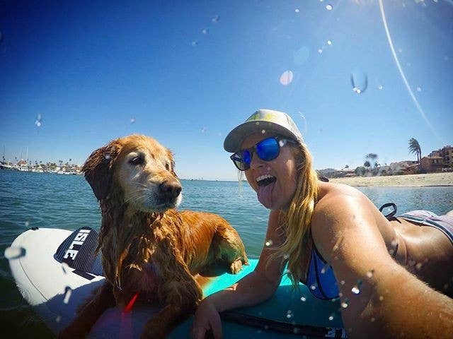 isleboards's tweet photo. 2020 is the year for adventure! 🌊 Your sup pup is ready for some rad exploration you both will never forget 🤙

Save $100 on SUP's here: https://t.co/igiBs70YqK https://t.co/xnnJRK5w6e