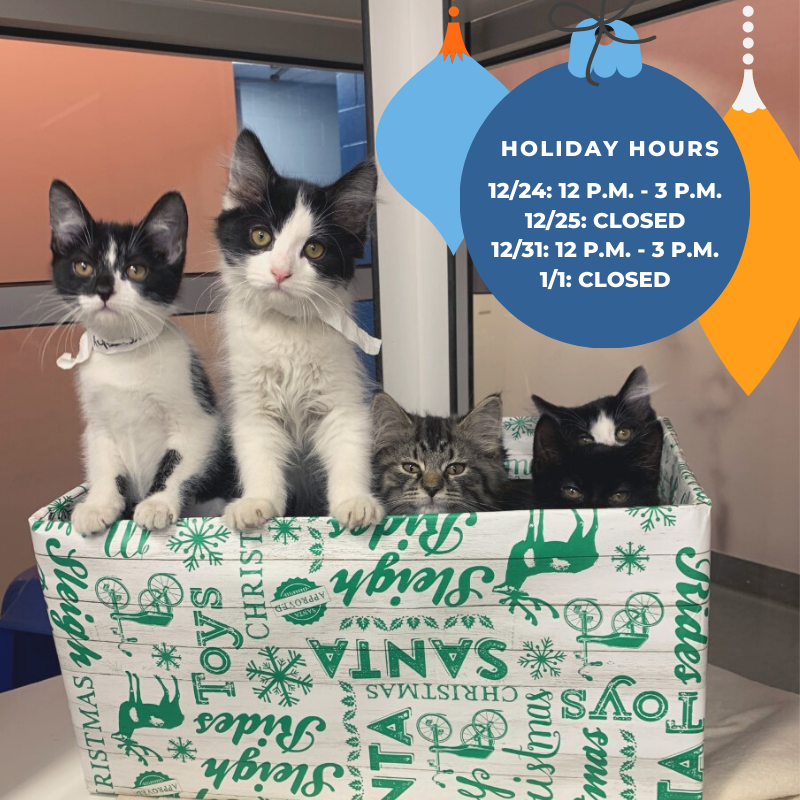 For those hoping a gift this year will contain four paws, Columbus Humane will be open Christmas Eve and New Years Eve from Noon - 3 p.m. and will be closed Christmas Day and New Years Day. Otherwise, we are open our normal business hours to stop by and meet your new friend.