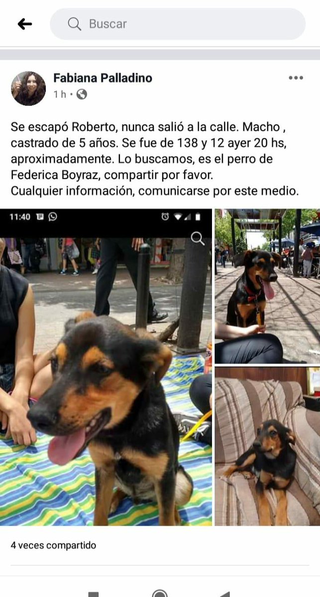 4hrr3's tweet photo. como me pasó a mí te podría haber pasado a vos, difundan por favor! calle 138 y 12, berazategui https://t.co/nMOiv6Dxkm