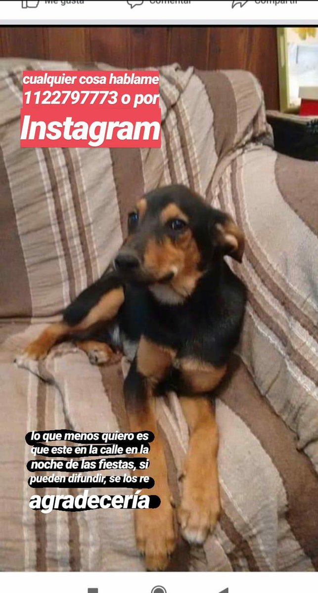 4hrr3's tweet photo. como me pasó a mí te podría haber pasado a vos, difundan por favor! calle 138 y 12, berazategui https://t.co/nMOiv6Dxkm