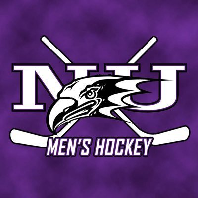 I’m very proud and excited to announce my commitment to play Division 1 hockey at Niagara University. Thank you to my teammates, family, friends, and coaches who have helped along the way to achieve one of my goals. Can’t wait to be wearing purple! #eaglestakeflight 💥💪🏒