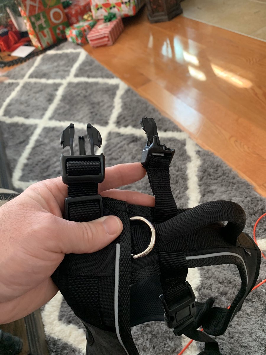 Rally The Silver Lab tweet media