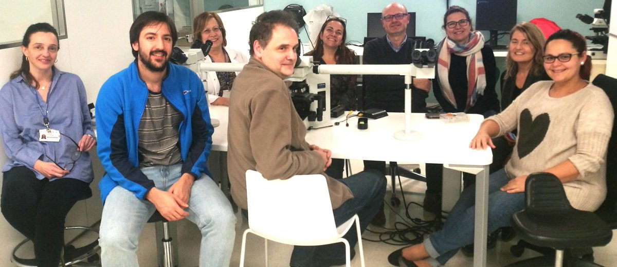 AutopsiaFetal's tweet photo. Curso de Autopsia Fetal y Perinatal #AutopsiaFetal2020 
Organizado por el Grupo de patólogos pediátricos de la #SCAP

#Autopsia #pedipath #fetalpath #placentapath #gynpath #forense #AnatomiaPatologica #MedicinaFetal https://t.co/LcDz9LjWuA