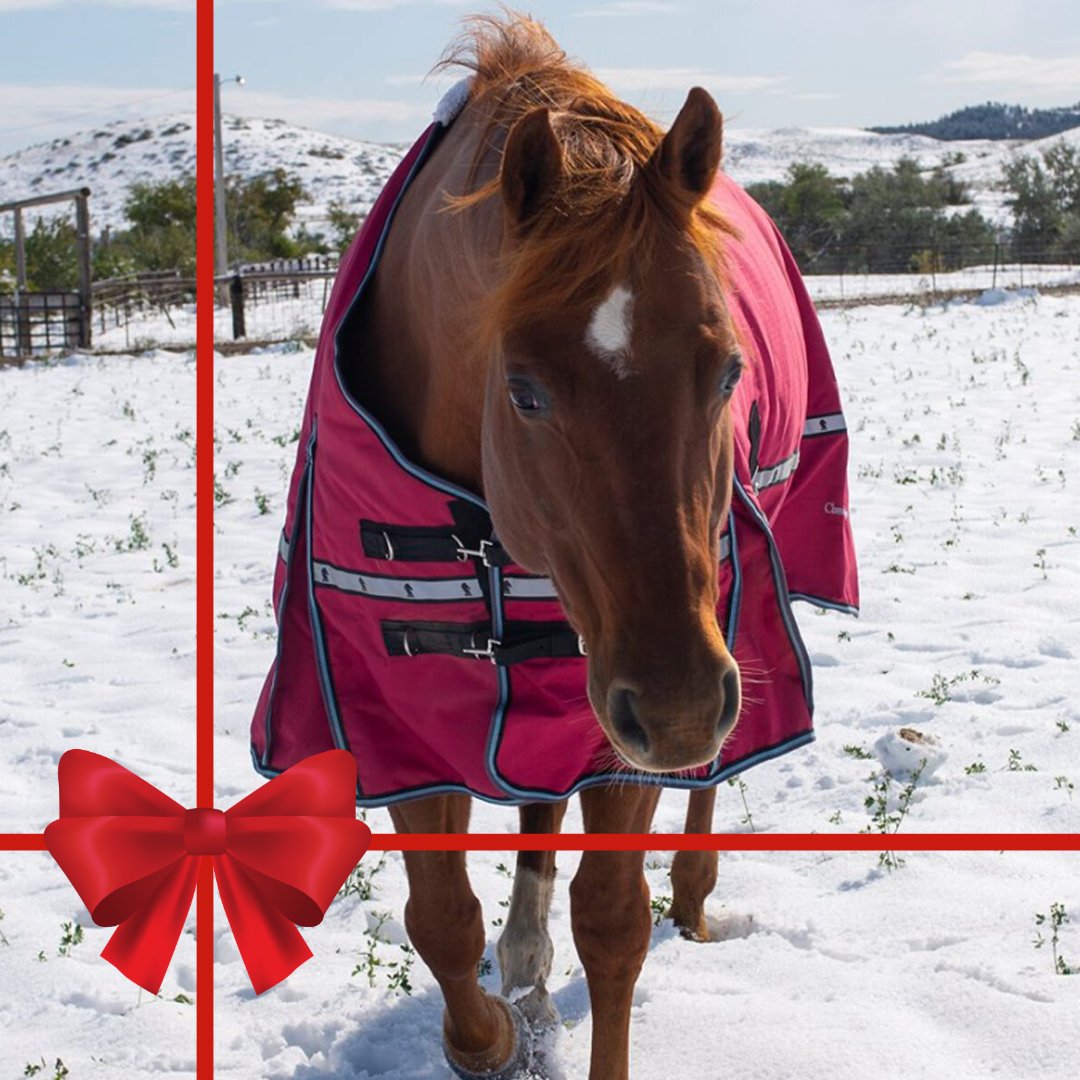 Day 22/24 -- Give you horse the gift of warmth &amp; comfort this Christmas. Designed for colder climates, the 10K Cross Trainer Blanket from Classic Equine has all that you beloved horse will ever need.

Find a dealer near you at noble-canada.ca