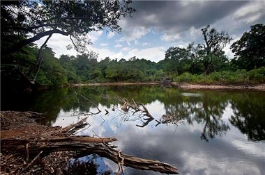 touristinindia's tweet photo. Someshwara Wildlife Sanctuary Known for Seethanadi Nature Camp #SomeshwaraWildlifeSanctuary #nature #camp #TelemetryResearch https://t.co/EzP5RhJXXD https://t.co/jRq9RHo11u