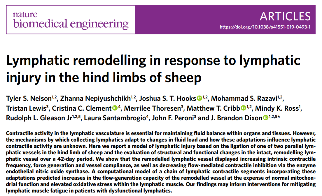 natBME's tweet photo. Lymphatic remodelling in response to lymphatic injury in the hind limbs of sheep
https://t.co/jNHFPUHP5I https://t.co/qlPo2hQW0c