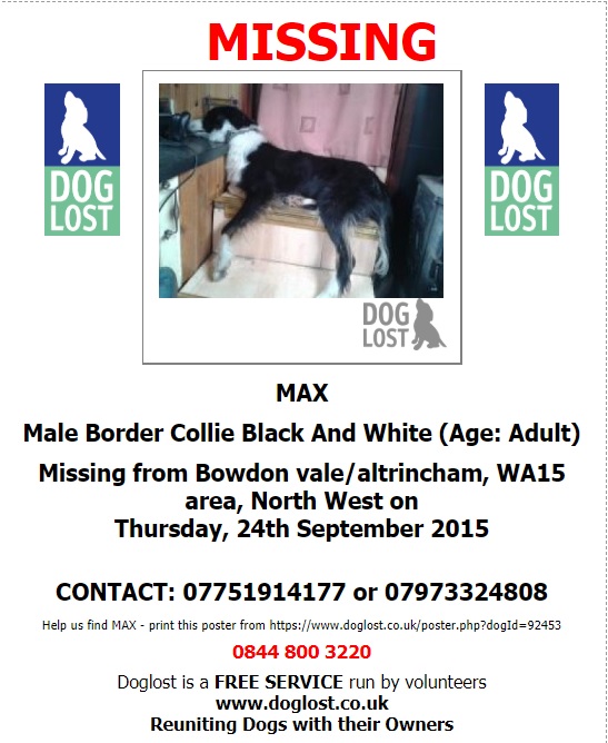 gelert01's tweet image. #ItsCollieMonday

The Month : September

The year : 2015

#HelpBringThemHome

#Gimley #Max 

@rosiedoc666 @ChrstinaKelly @RachaelB100 @veryluckypugs  @lorraineholt @Lorrain90964806 @lornsalexander @Lozzenge_loz @LordBiddy @MarchPaw @PawsOutandAbout @SallysHelpPaws