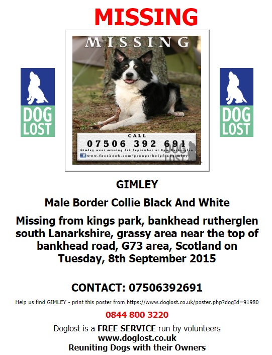 gelert01's tweet image. #ItsCollieMonday

The Month : September

The year : 2015

#HelpBringThemHome

#Gimley #Max 

@rosiedoc666 @ChrstinaKelly @RachaelB100 @veryluckypugs  @lorraineholt @Lorrain90964806 @lornsalexander @Lozzenge_loz @LordBiddy @MarchPaw @PawsOutandAbout @SallysHelpPaws