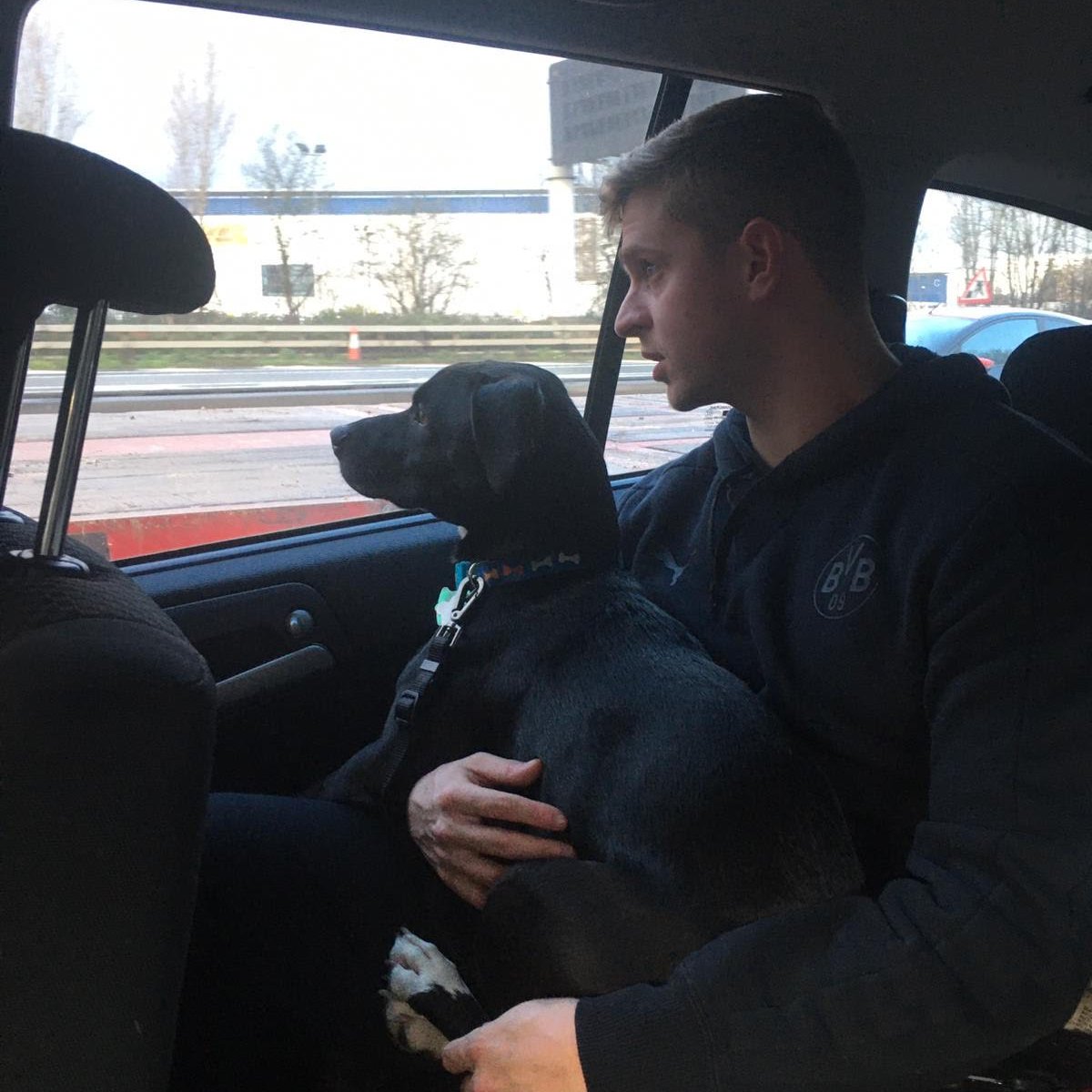 petmovers's tweet photo. Welcome to #London, "Ryder"! it looks like you're already taking in the sights 💙Thanks for being a wonderful client. #HappyHolidays #britishairways traveler #petmovers #GoodBoy #handsome https://t.co/uB8C17WNSX