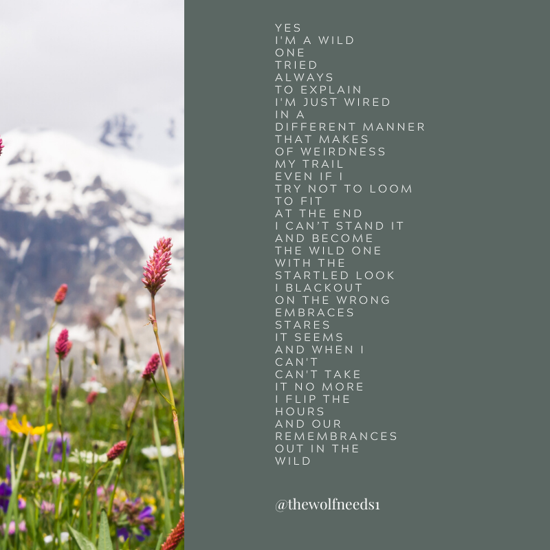 Thewolfneeds1's tweet photo. #PoemTrail #prosewords #poetrylovers #poetrywriter #Prosewords #amwriting #poetrycommunity #poetry #poems #PoetrySlamSession #poem #writing #writingcommmunity #WritingCommunity #PoetsSettlement #poetsofinstagram https://t.co/c0chDobhn4
